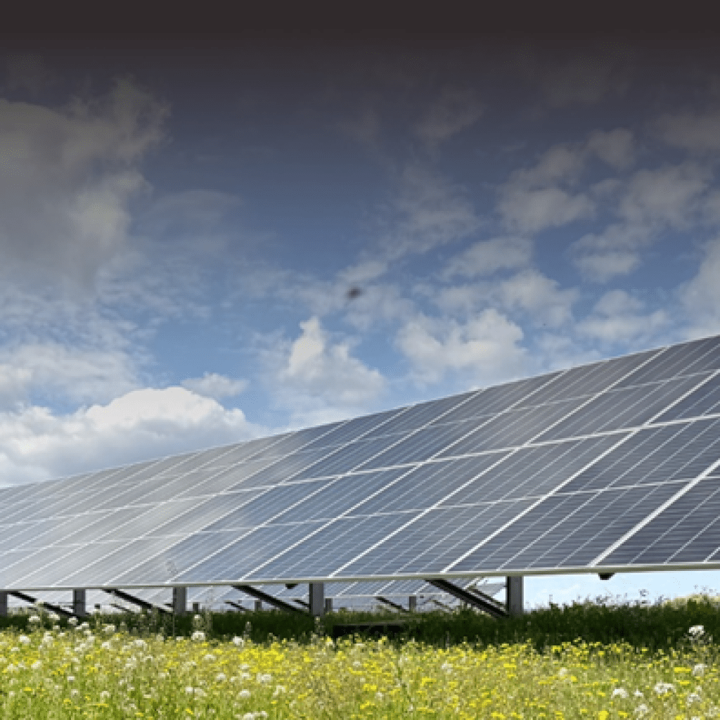 Diseñamos y fabricamos estructuras para panales solares en huertas solares · Solarstem